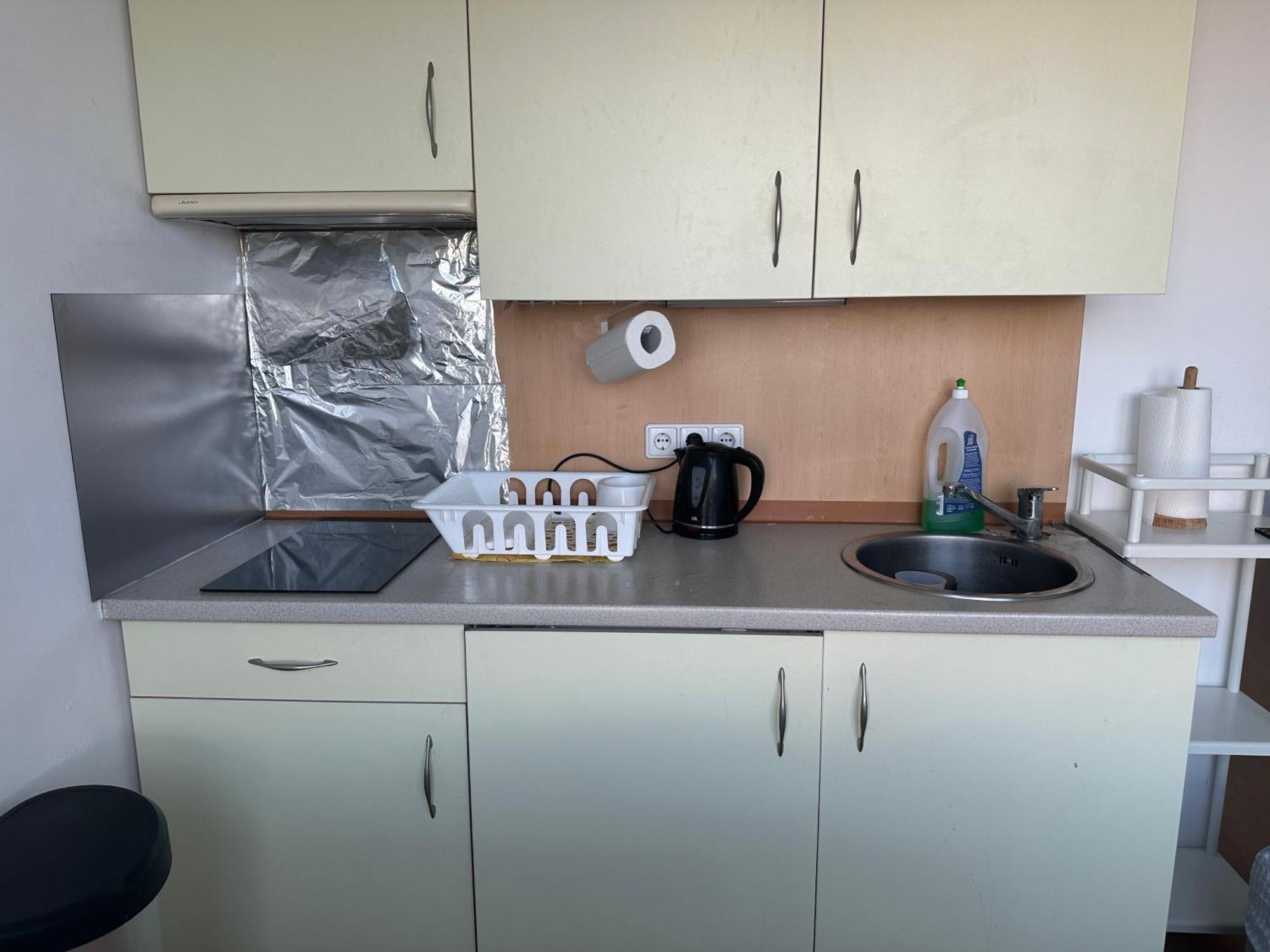Cozy Bright Penthouse Close To U1 And U6 Metros Appartement