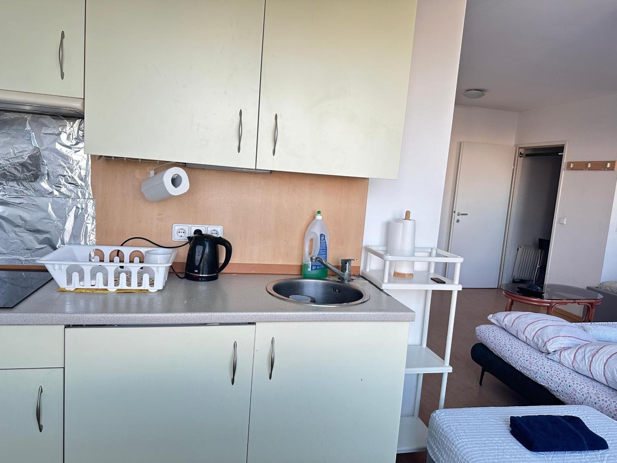 Appartement Cozy Bright Penthouse Close To U1 And U6 Metros *